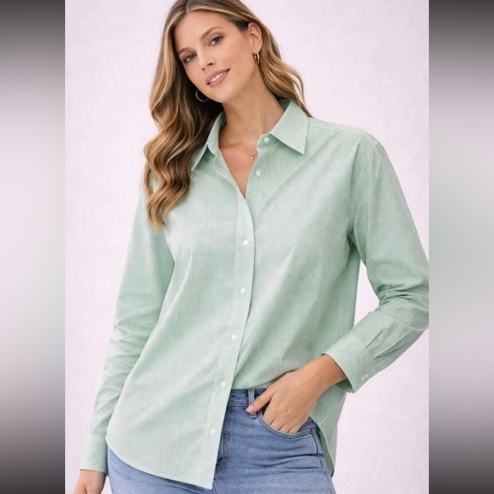 Everlane mint green pinstripe button down dress shirt